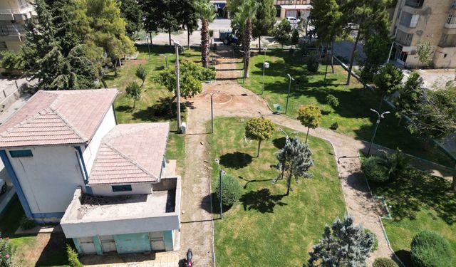 Haliliye’de Ağaçlandırma Seferberliği Devam Ediyor