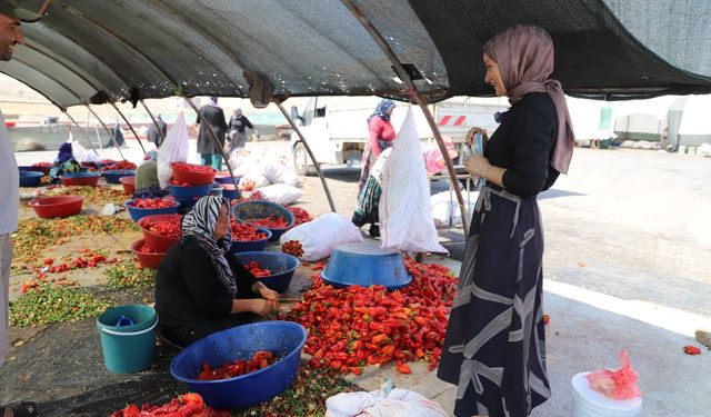 Mevsimlik İşçilere Sağlık Molası