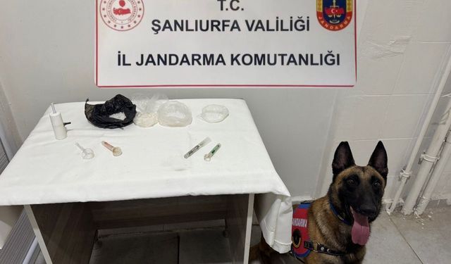 Viranşehir ve Suruç’ta Narkotik Baskını: Metamfetamin ve Esrara Büyük Darbe!