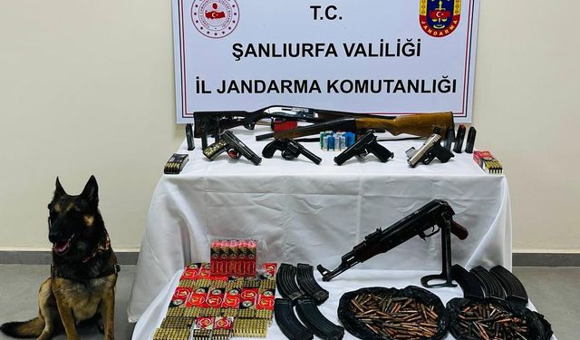 Bozova'da silah operasyonu!