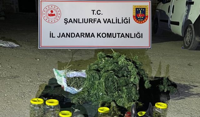 Viranşehir'de uyuşturucu operasyonu