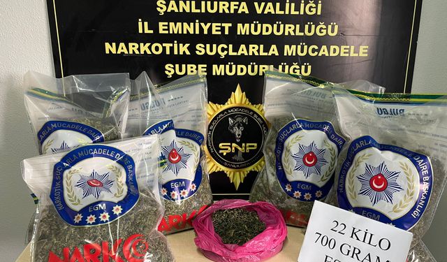 Suruç’ta Uyuşturucuya Geçit Yok: 22 Kilo Esrar Ele Geçirildi!