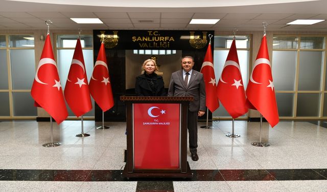 İsveç Büyükelçisi ve UNDP Türkiye Temsilcisinden Vali Şıldak’a Ziyaret