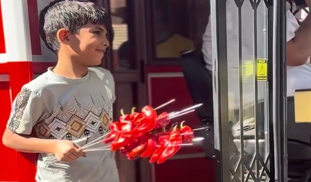 Urfa’da Görenler Gülümsedi: İsot Artık Tramvayda