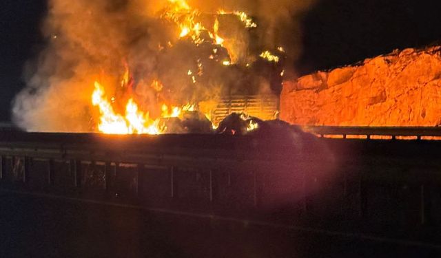 Şanlıurfa'da tır alev alev yandı