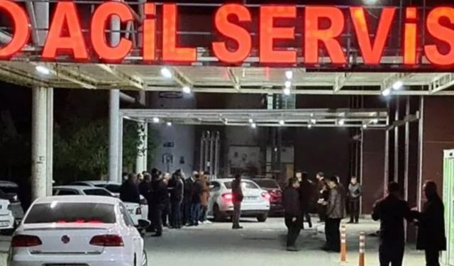 Akçakale’de kazada sürücü hayatını kaybetti