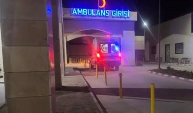 Ceylanpınar’da Feci Kaza: 8 Yaşındaki Çocuk Hayatını Kaybetti, Baba Yaralandı