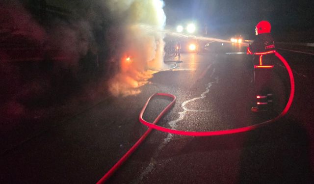 Şanlıurfa-Mardin Otoyolu’nda Yangın Paniği: Salça Yüklü Tır Alev Aldı