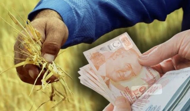 Şanlıurfalı Çiftçilere Müjde! Destek Ödemeleri Bugün Hesaplarda