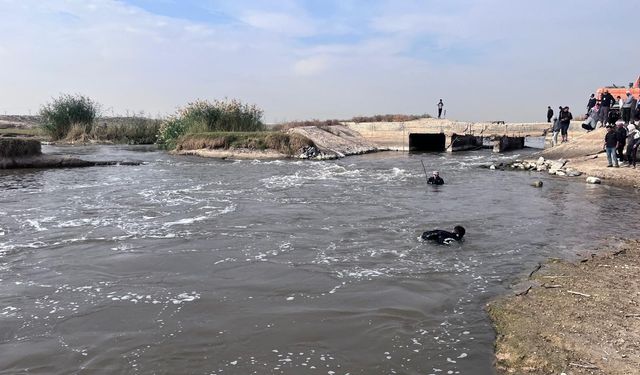 Şanlıurfa sınırından acı haber geldi