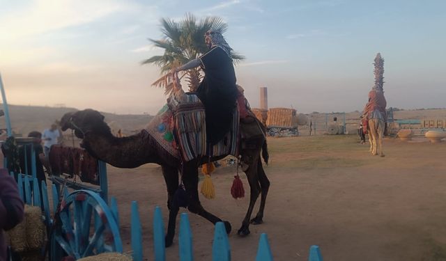 Harran’a Turist Akını: Develerle Tarihe Yolculuk Başladı!