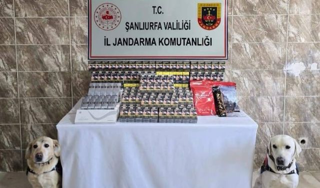 Şanlıurfa'da kaçakçılara darbe! Binlerce pakete el konuldu