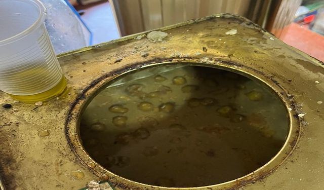 Şanlıurfa'da Ton Kokuşmuş ve Küflü Zeytin Ele Geçirildi