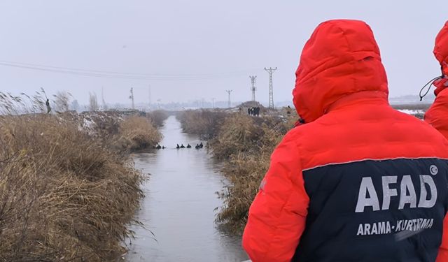 Şanlıurfa'da sulama kanalına düşen otomobilin sürücüsünü arama çalışmaları sürüyor