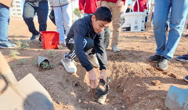 Yeşeren Okullar Projesi İle Fidanlar Toprakla Buluşuyor