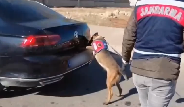 Hilvan’da Narkotik Operasyonu: 25 Kg Skunk Ele Geçirildi!