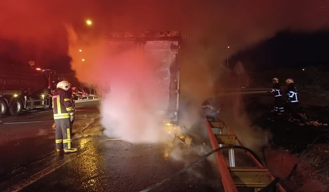 Şanlıurfa'da tır alev alev yandı