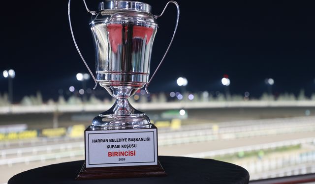 Harran Belediyesi Koşusu'nu Pirate Of The Sea Kazandı