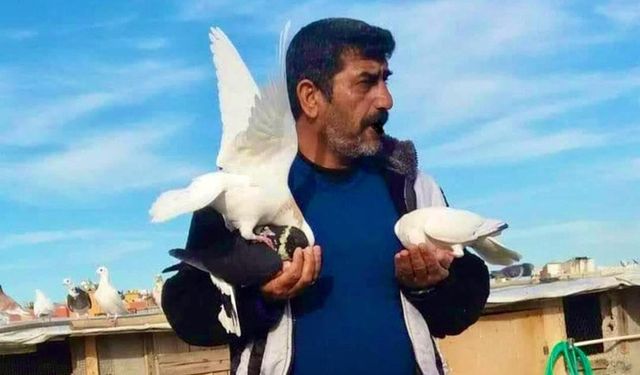 Güvercinler 50 Bin Dolardan 1 Milyon TL Arasında Alıcı Buluyor.