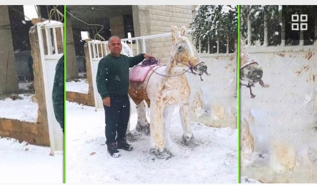 Şanlıurfa'da Kar, Halfeti’de Nasıl Sanata Dönüştü?