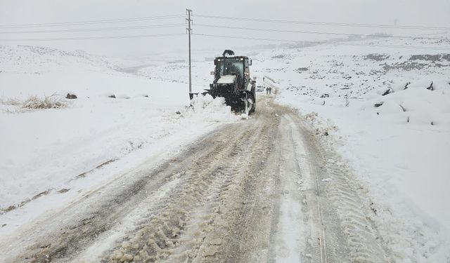 Şanlıurfa’da Kaç Mahallede Elektrik Yok, Kaç Yol Kapalı?