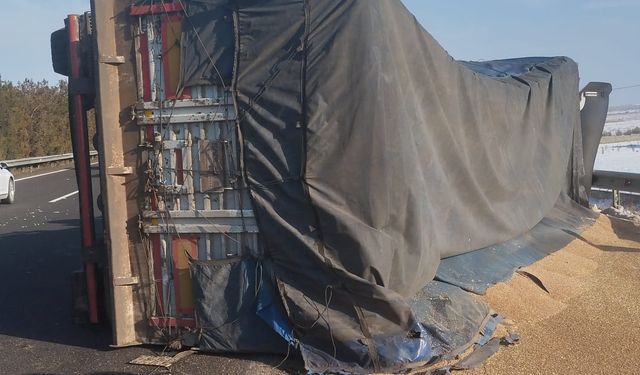 Şanlıurfa-Gaziantep Otobanında Buğday Yüklü Tır Devrildi