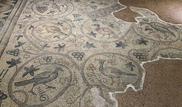 Şanlıurfa’da 1500 yıllık bir hazine daha: Yukarı Göklü Köyü Mozaiği