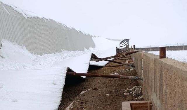 Yoğun Kar Harran’da Yıktı Geçti: Çiftlik Çöktü