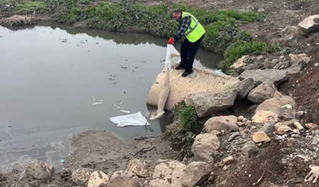 Viranşehir’de Larva ile Mücadele Başladı: Hedef Daha Sağlıklı Bir Yaz