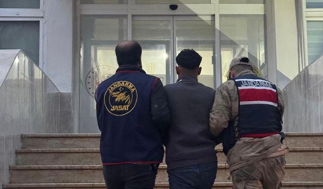 Akçakale'de dolandırıcı operasyonu