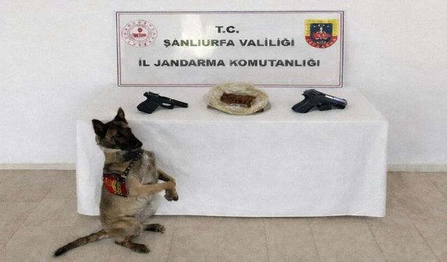 Eyyübiye’de Uyuşturucu Baskını: Ele Geçenler Şaşırttı