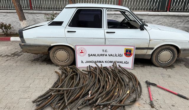 TİGEM’de Milyonluk Hırsızlık: Kaçarken Yakalandı!