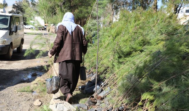 Başkan İnan, Daha yeşil Viranşehir için çalışıyoruz