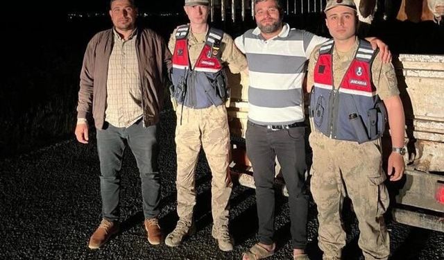 Şanlıurfa’da Kayıp Büyükbaş Hayvanlar Jandarma Tarafından Bulundu