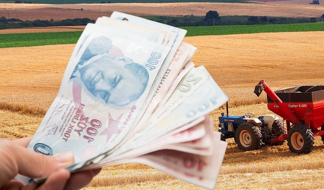Şanlıurfa Dahil Çiftçiye Büyük Destek Ödemesi