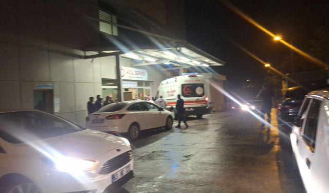 Birecik’te Aile İçi Tartışma Katliama Dönüştü: 2 Kardeş Öldü