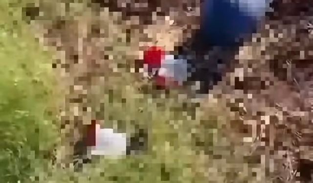 Şanlıurfa'da Varilde Çok Sayıda Cenin Tespit Edildi