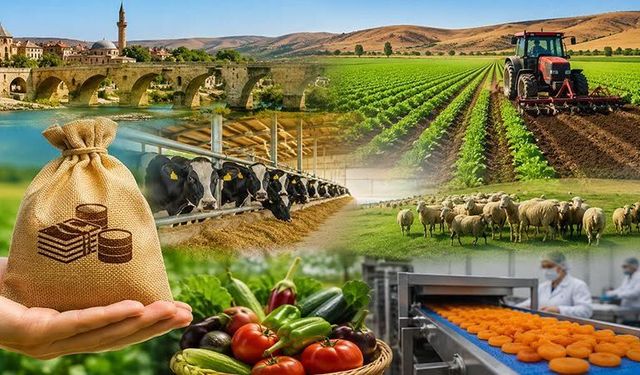 Şanlıurfa’da Kırsal Yatırımlara Milyonluk Hibe Desteği