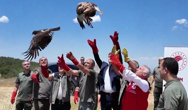 Şanlıurfa’da Özgürlük Anı! Rehabilite Edilen Hayvanlar Doğaya Döndü