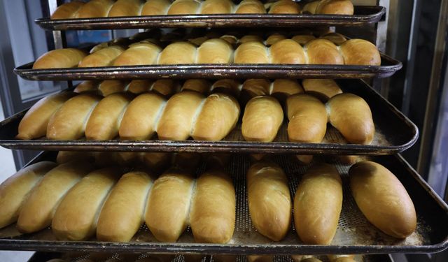 Haliliye’de Günde 7 Bin 368 Ekmek İhtiyaç Sahiplerine Ulaştırılıyor
