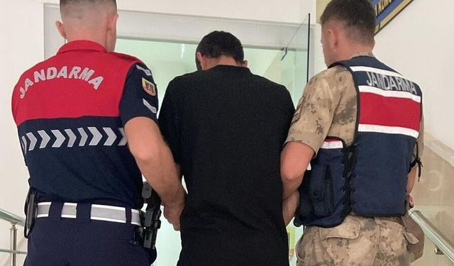 Haliliye’de Jandarma Takibi Sonuç Verdi! Aranan Hükümlü Yakalandı
