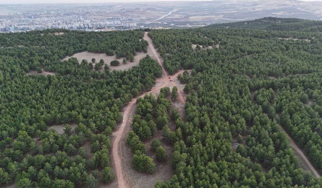 Şanlıurfa’nın En Büyük Rekreasyon Projelerinden Biri Hayata Geçiyor