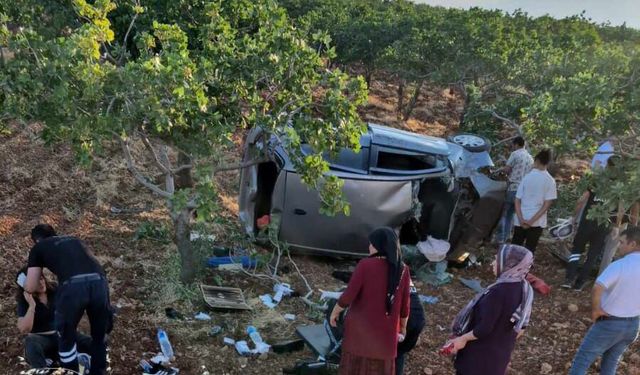 Halfeti’de Araç Fıstık Tarlasına Devrildi, 3 Kadın Yaralandı