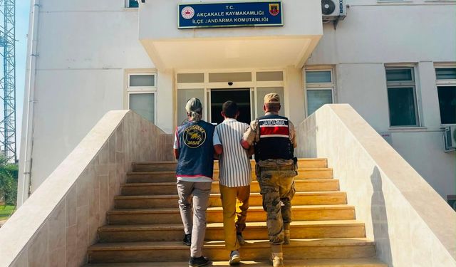 Şanlıurfa’da aranan hükümlü jandarma operasyonuyla yakalandı
