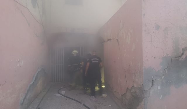 Şanlıurfa’da bodrum katında yangın: 2 kedi kurtarıldı