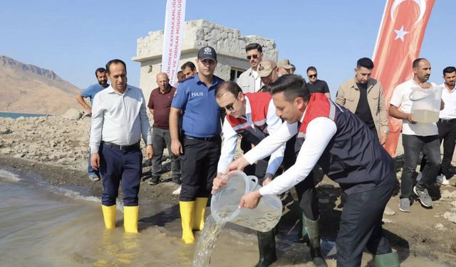 Bozova’da Üretildi, 9 İle Gönderildi! Milyonlarca Balık İçin Büyük Çalışma