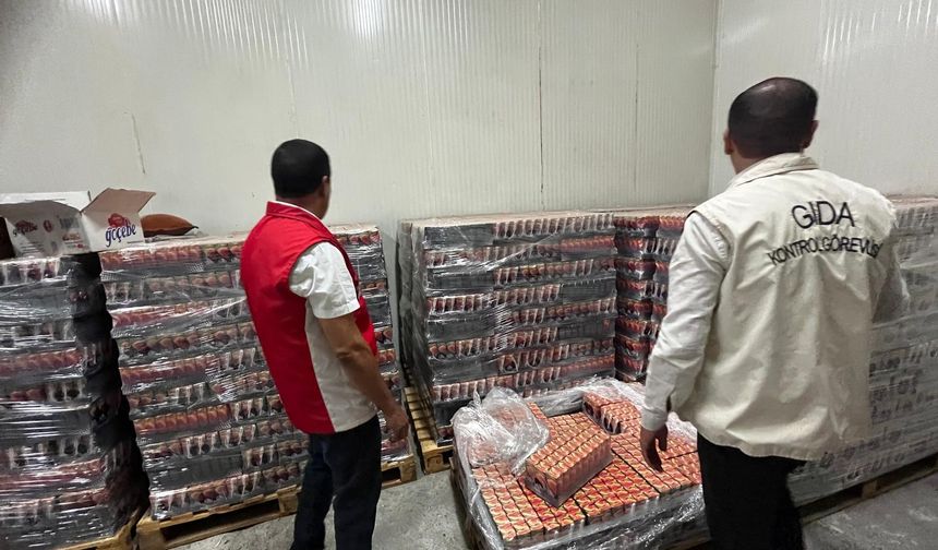 Eyyübiye'de  tonlarca bozuk gıda maddesi imha edildi