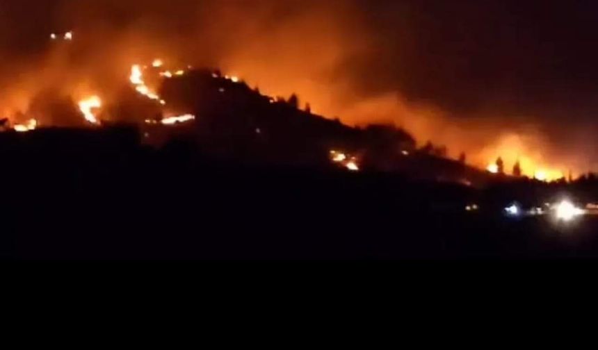 Eyyübiye'de korkutan yangın