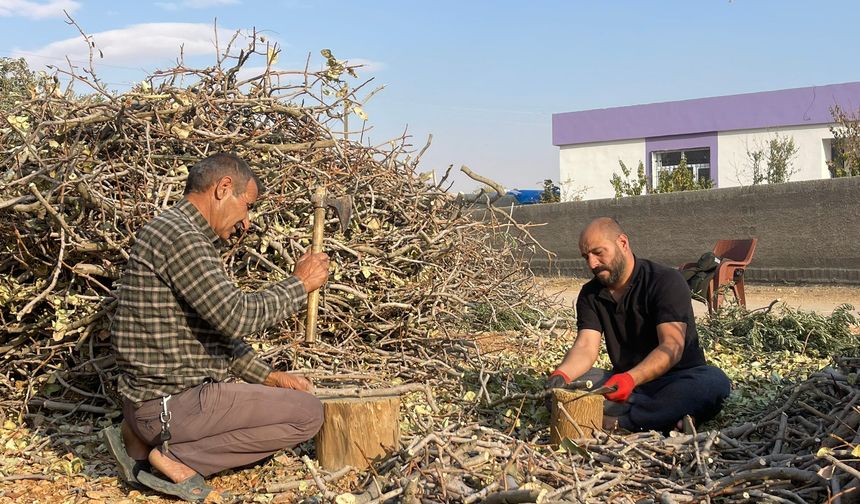 Şanlıurfa kırsalında kış hazırlığı başladı