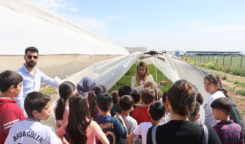Şanlıurfa Büyükşehir Belediyesi’nden Çocuklara Doğa Aşısı